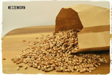Weizenkörner gereinigt 